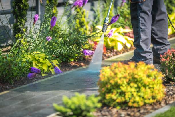 Spring Cleaning in Wofford Heights, CA